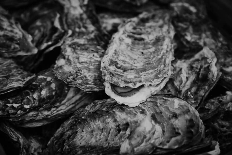 牡蠣は1時間に20リットルの海水を吸って吐く。つまり、クリーンな海水が大切。