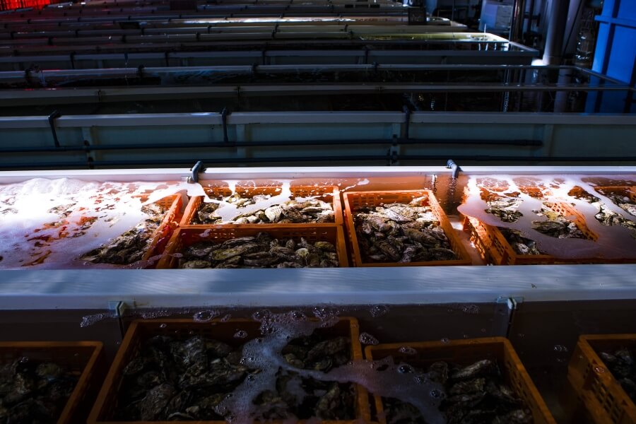 特許技術で浄化した安心品質5つ星