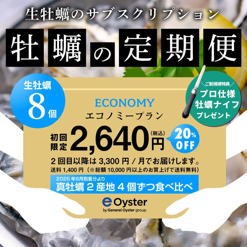 エコノミープラン 初回限定2,640円