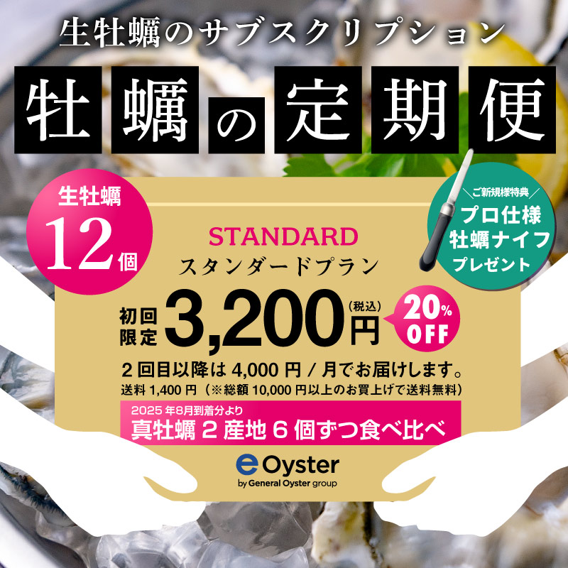 スタンダードプラン 初回限定3,200円